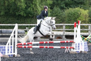 Class 5 - Fences not above 2'6